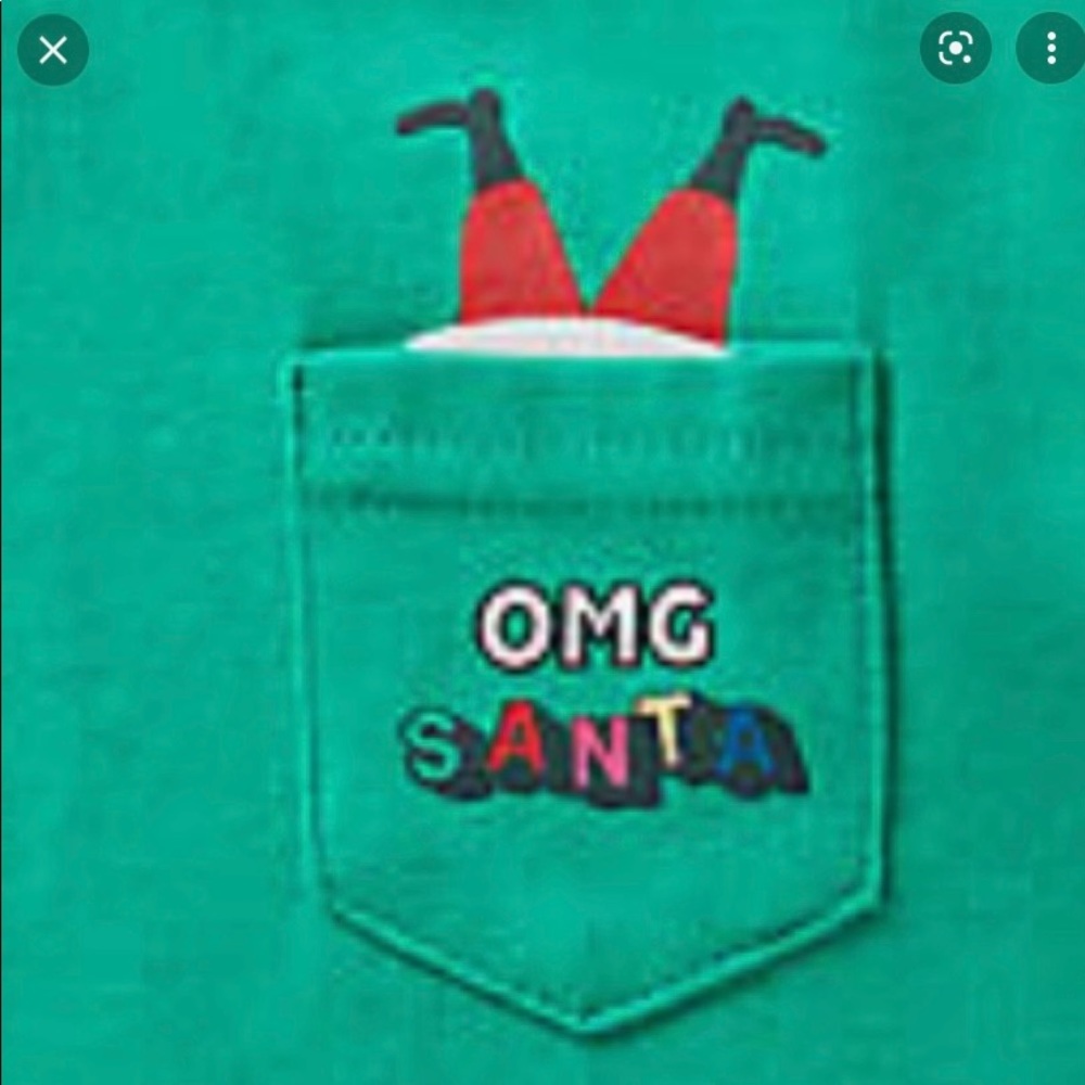 Christmas shirt for dog